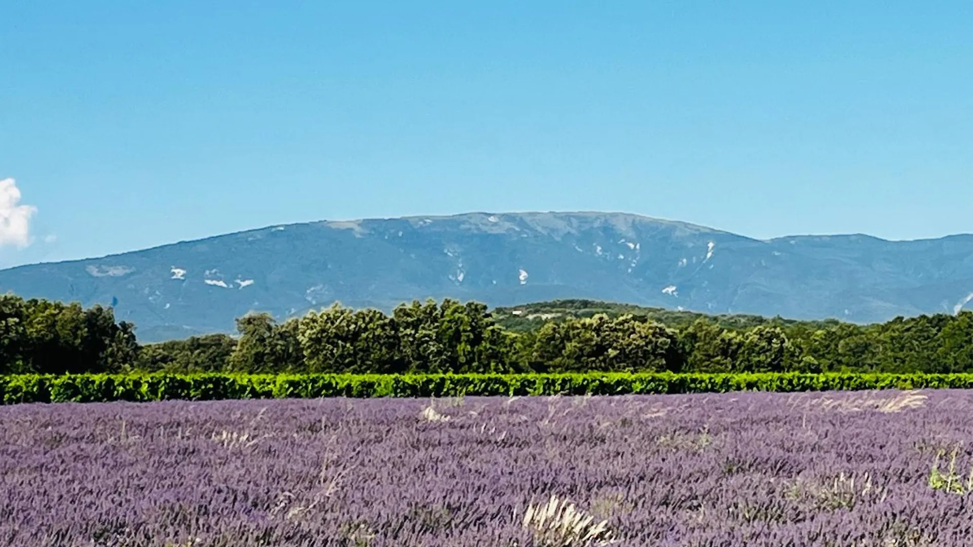 Gite De Charme Chez Nel Et Flo Valreas Country house