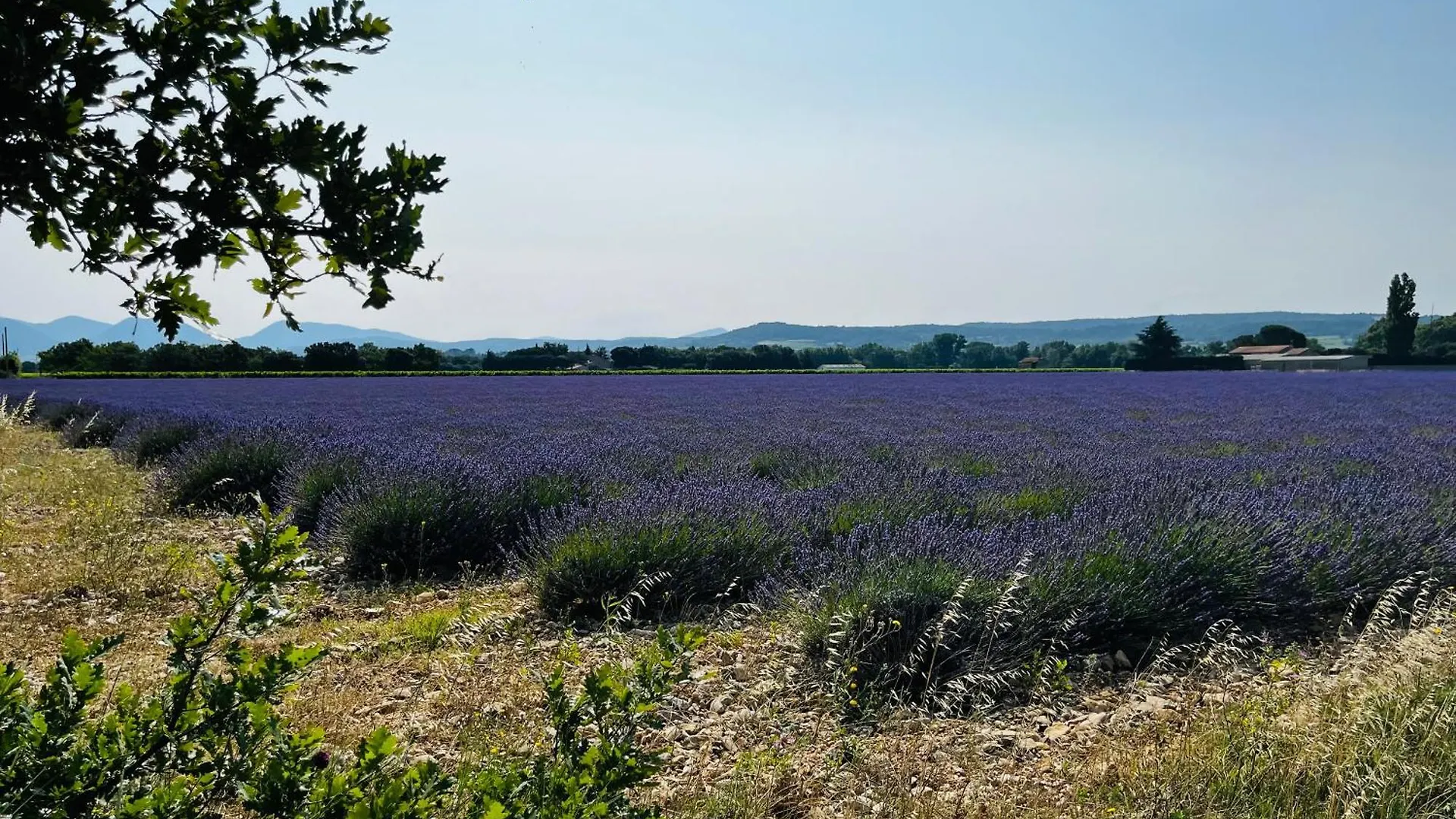 Gite De Charme Chez Nel Et Flo Valreas 0*,  France