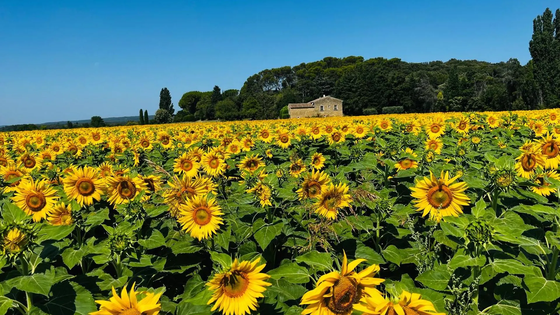 Country house Gite De Charme Chez Nel Et Flo Valreas France